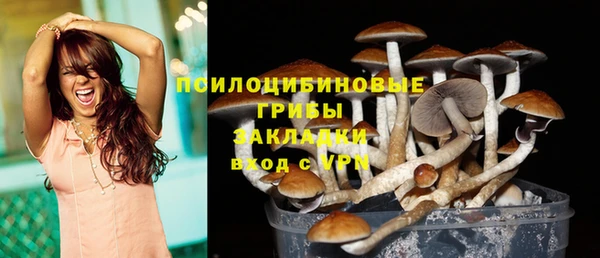 мдпв Краснослободск